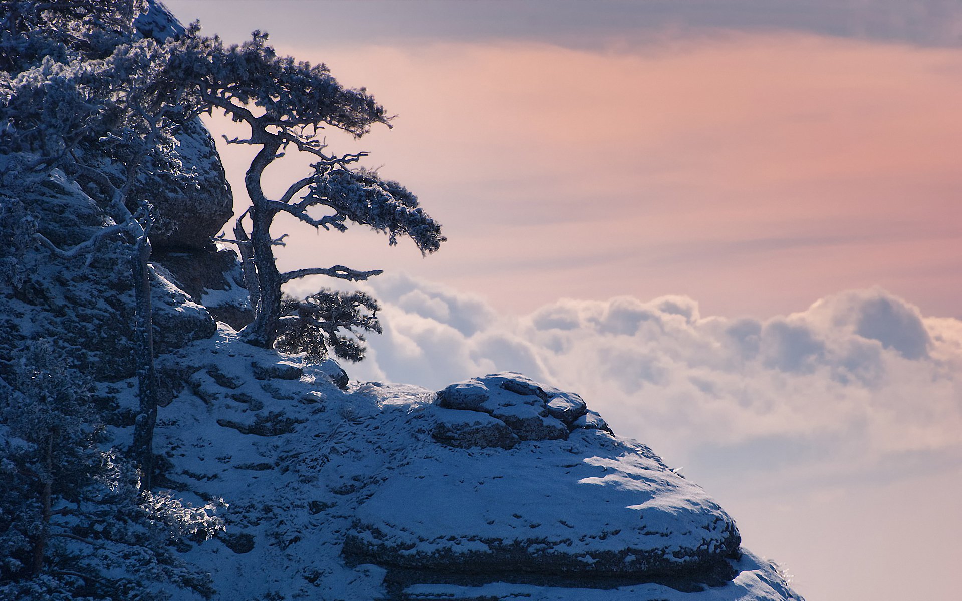 krim winter schnee berge kiefern wolken