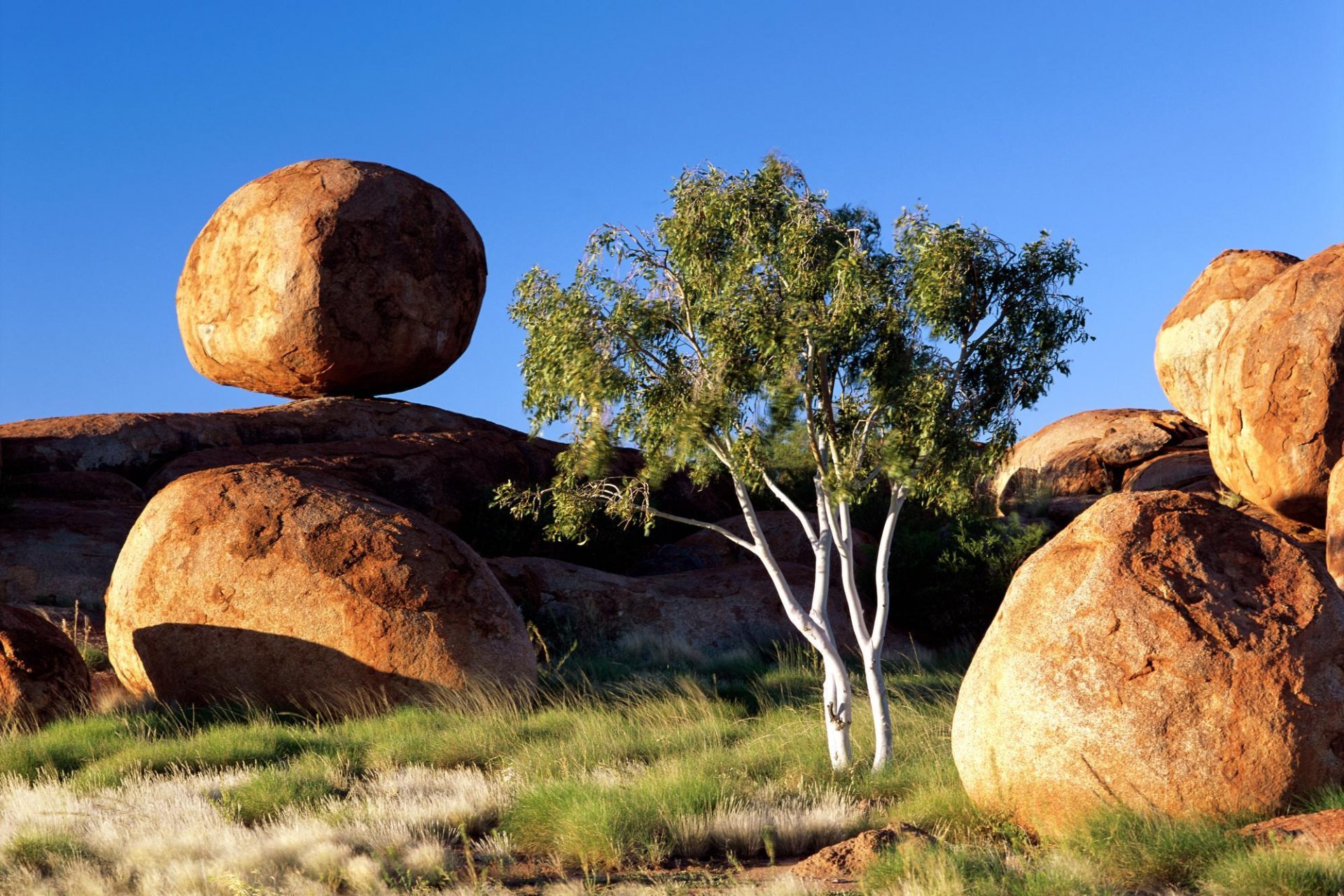 piedras redondo rocas árbol cielo hierba