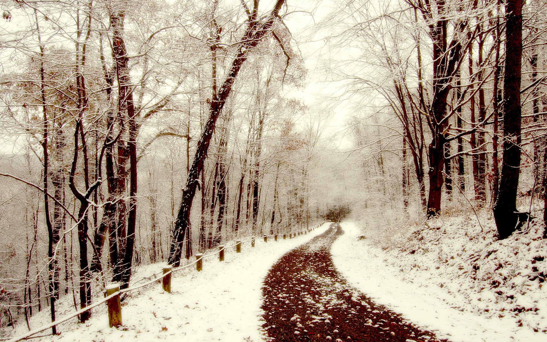 nieve invierno camino paseo