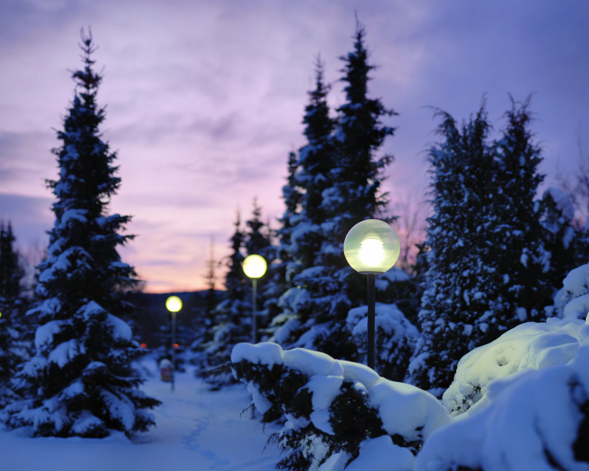 nature winter snow night lamps light