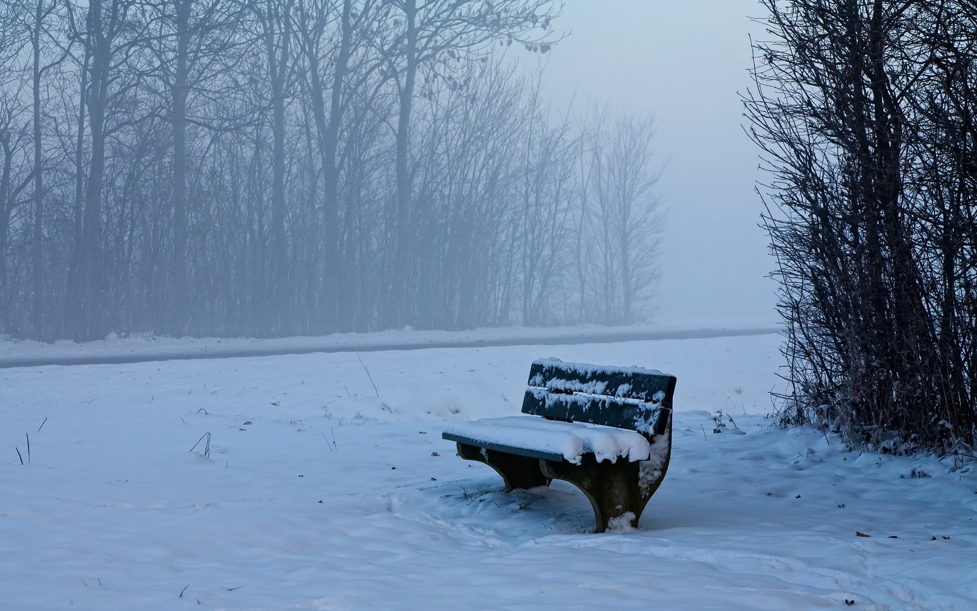 winter snow bench