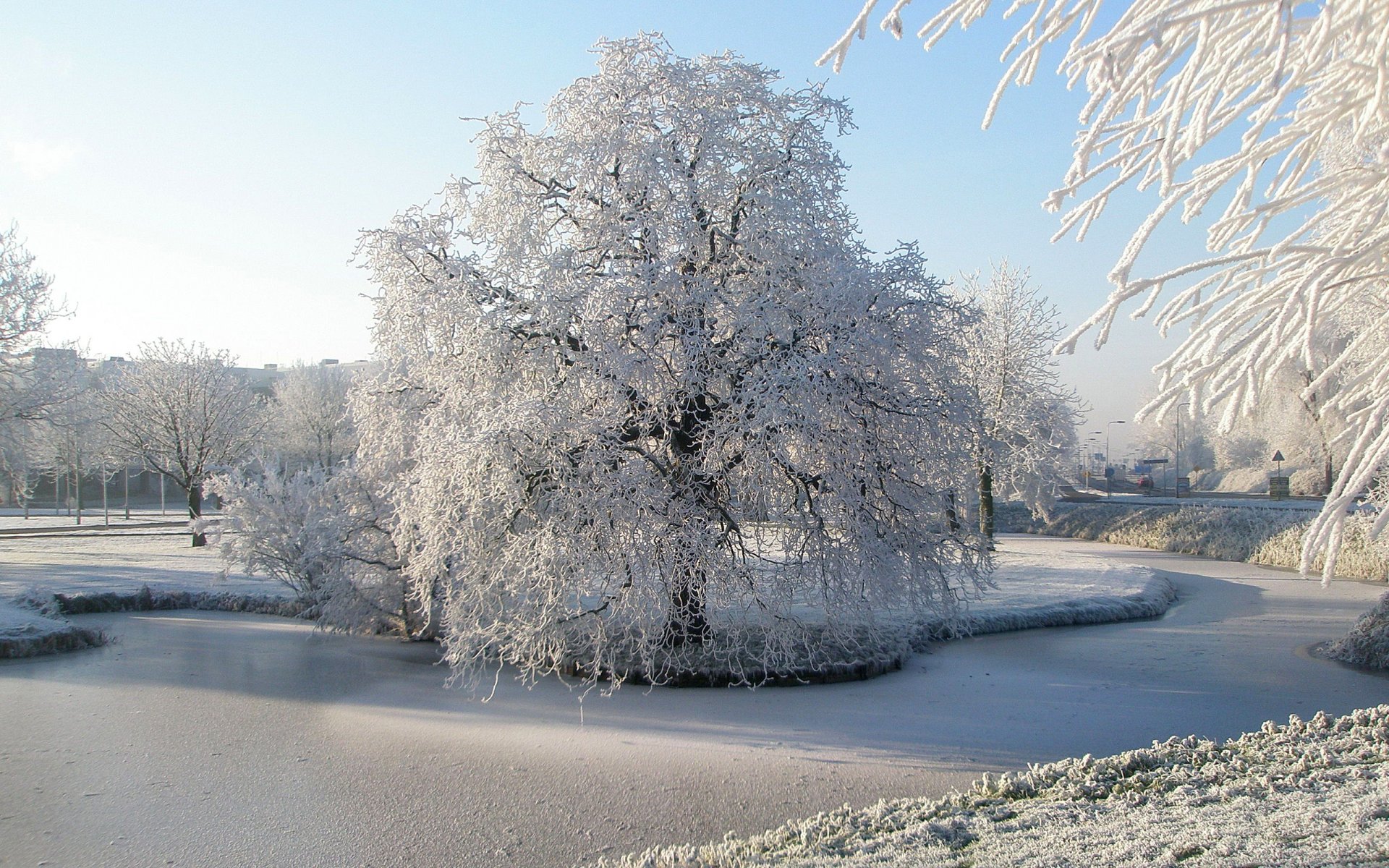 nature winter snow frost park tree river