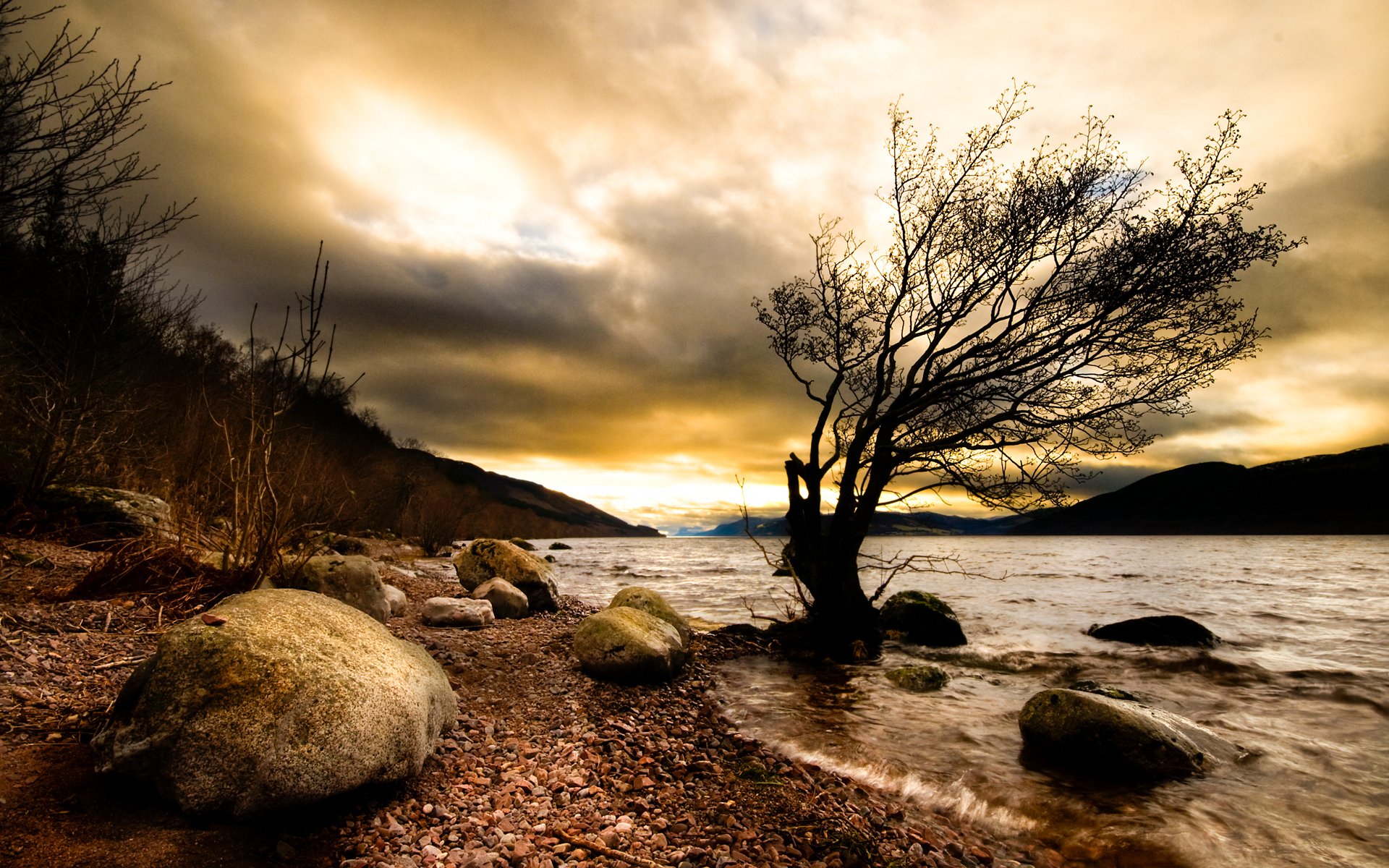 naturaleza río madera piedras oscuridad