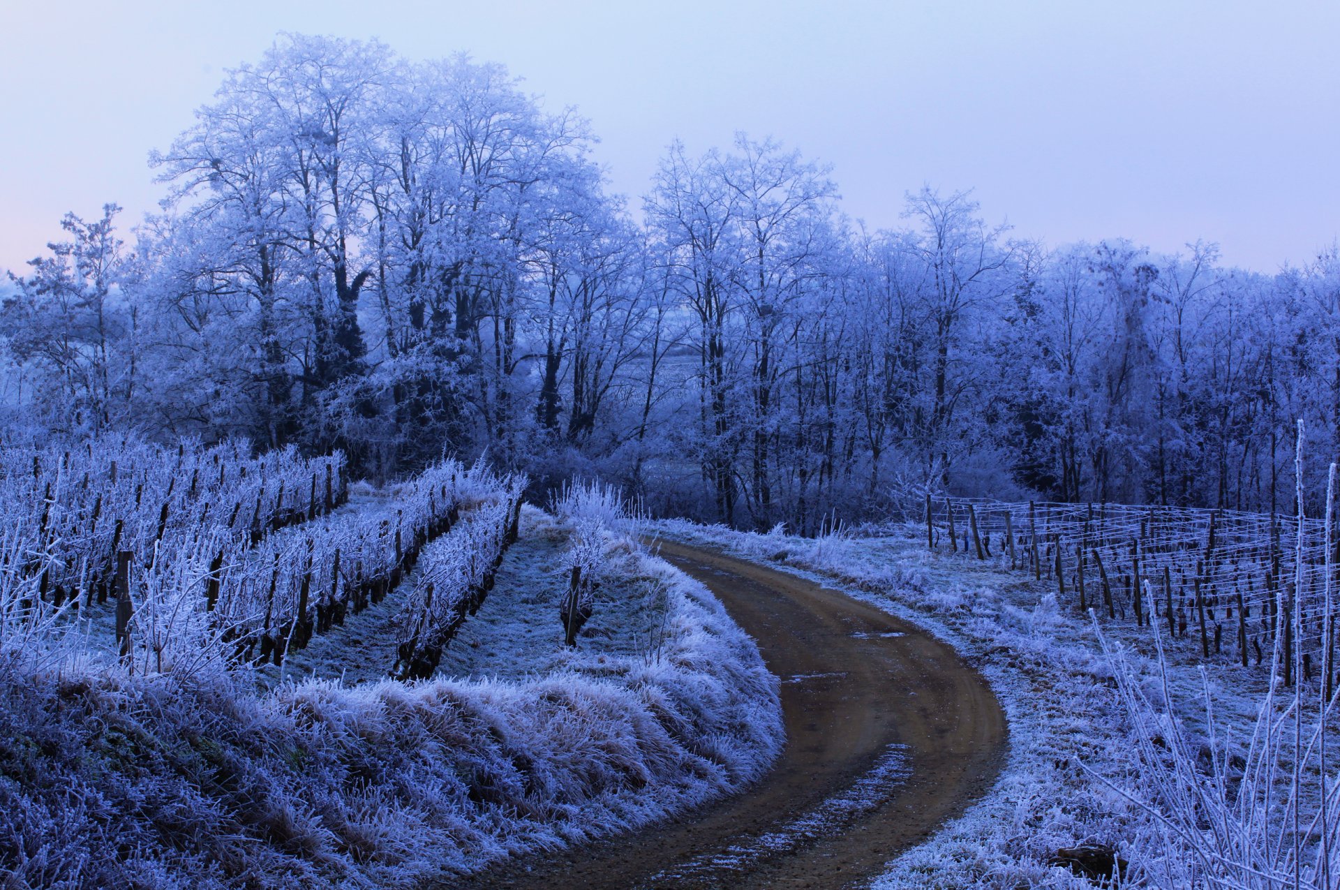 natura inverno strada gelo