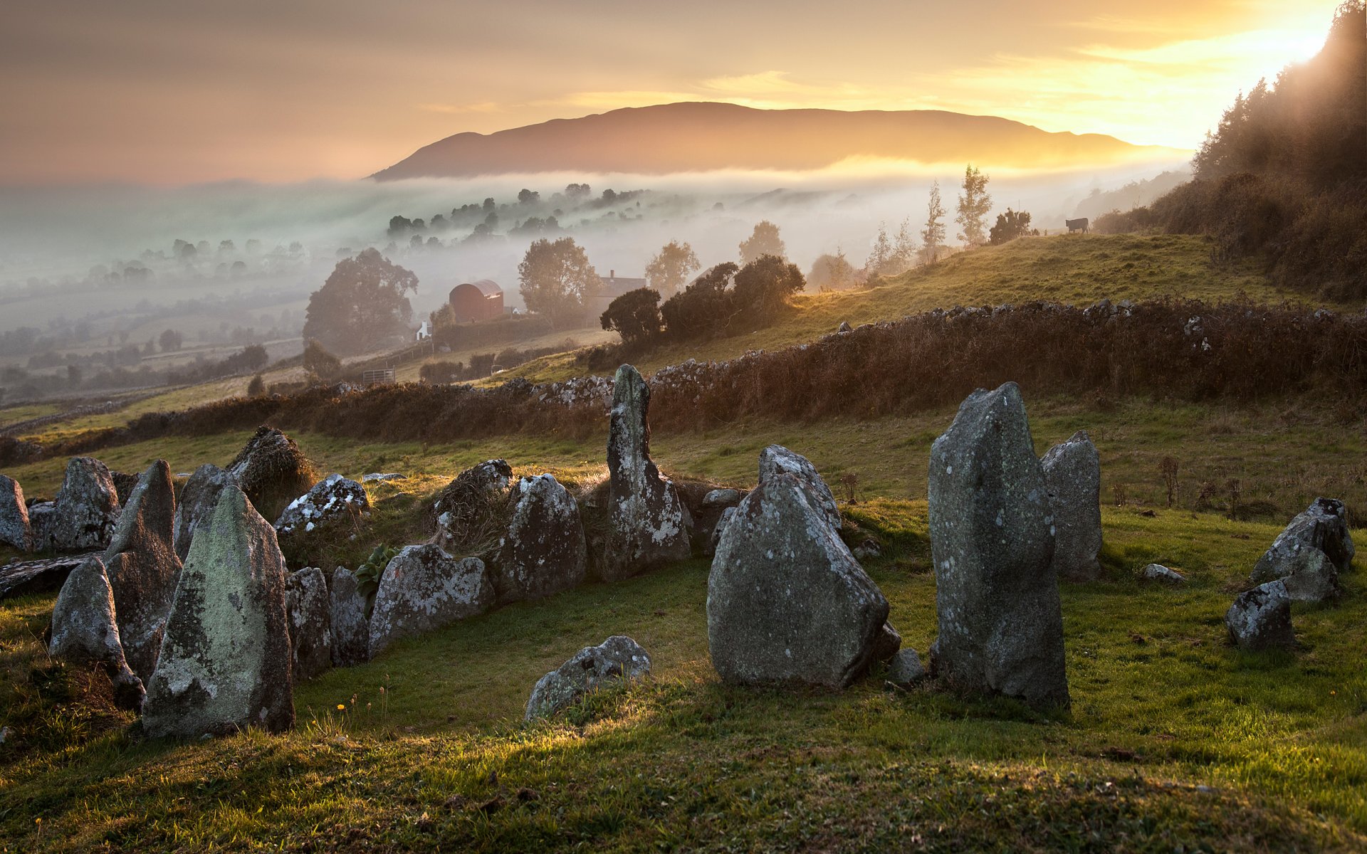 inglaterra naturaleza piedras árboles colinas niebla otoño