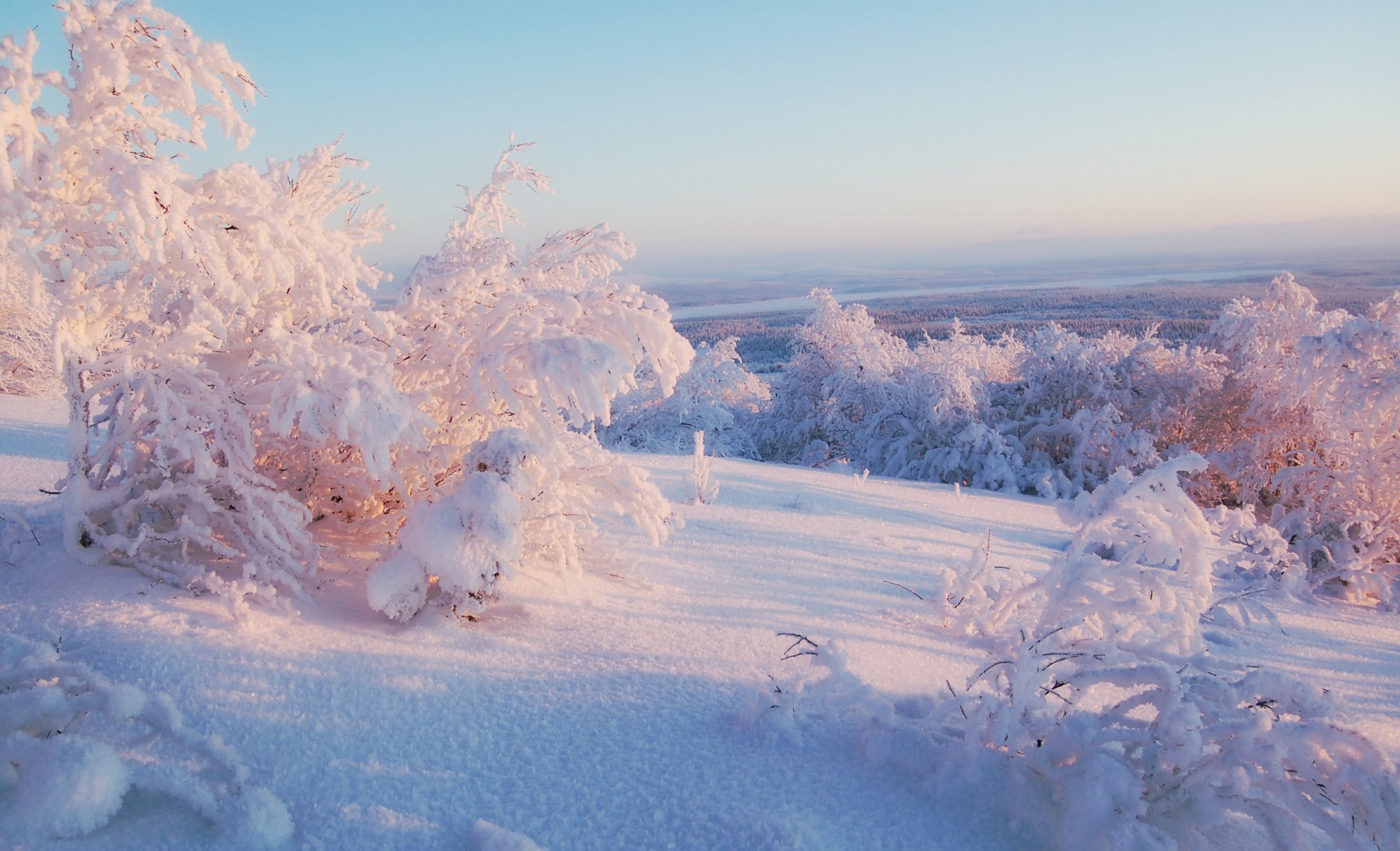 invierno nieve árboles horizonte cielo soleado luz