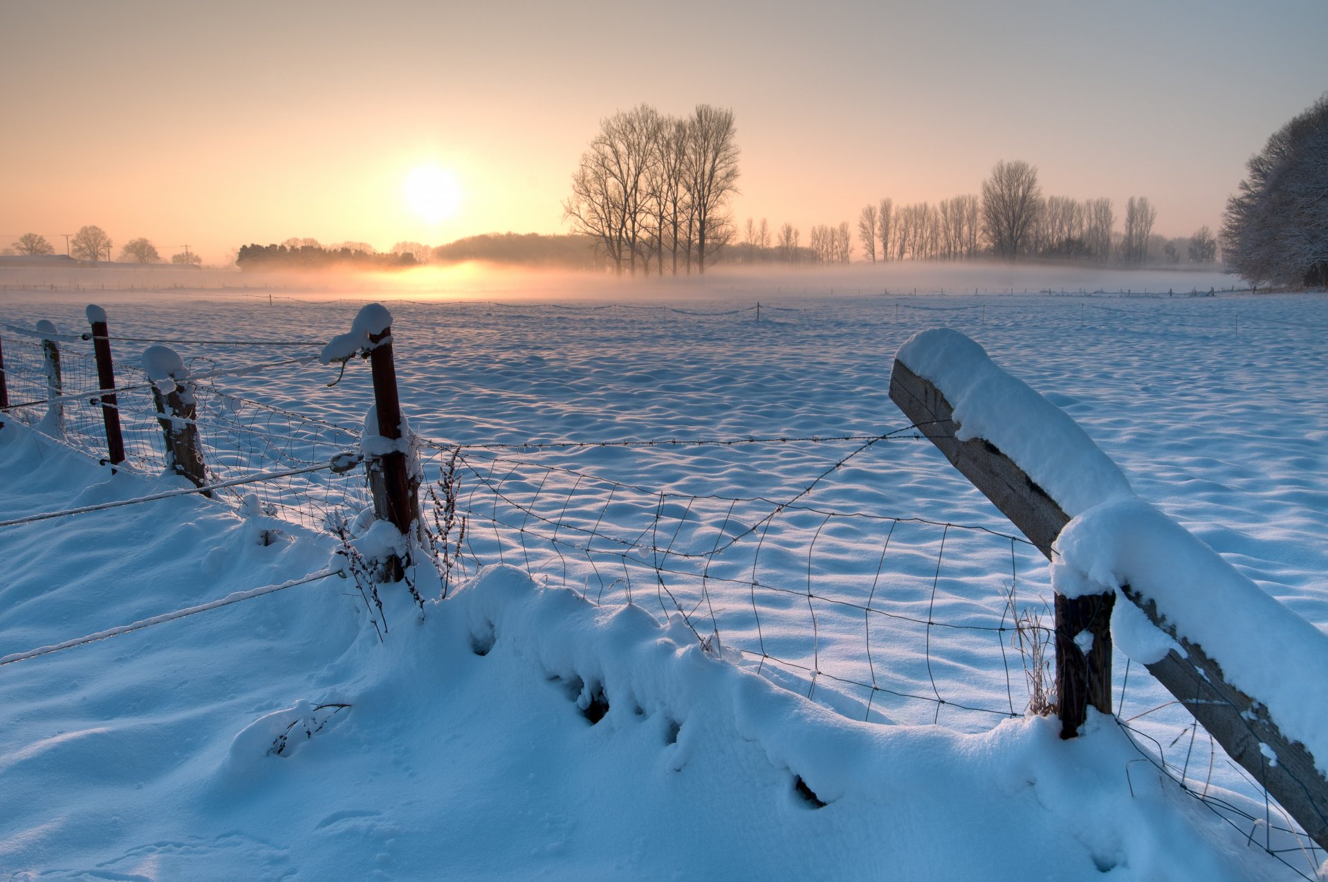 alemania invierno nieve campo árboles cerca esgrima tarde puesta de sol sol cielo