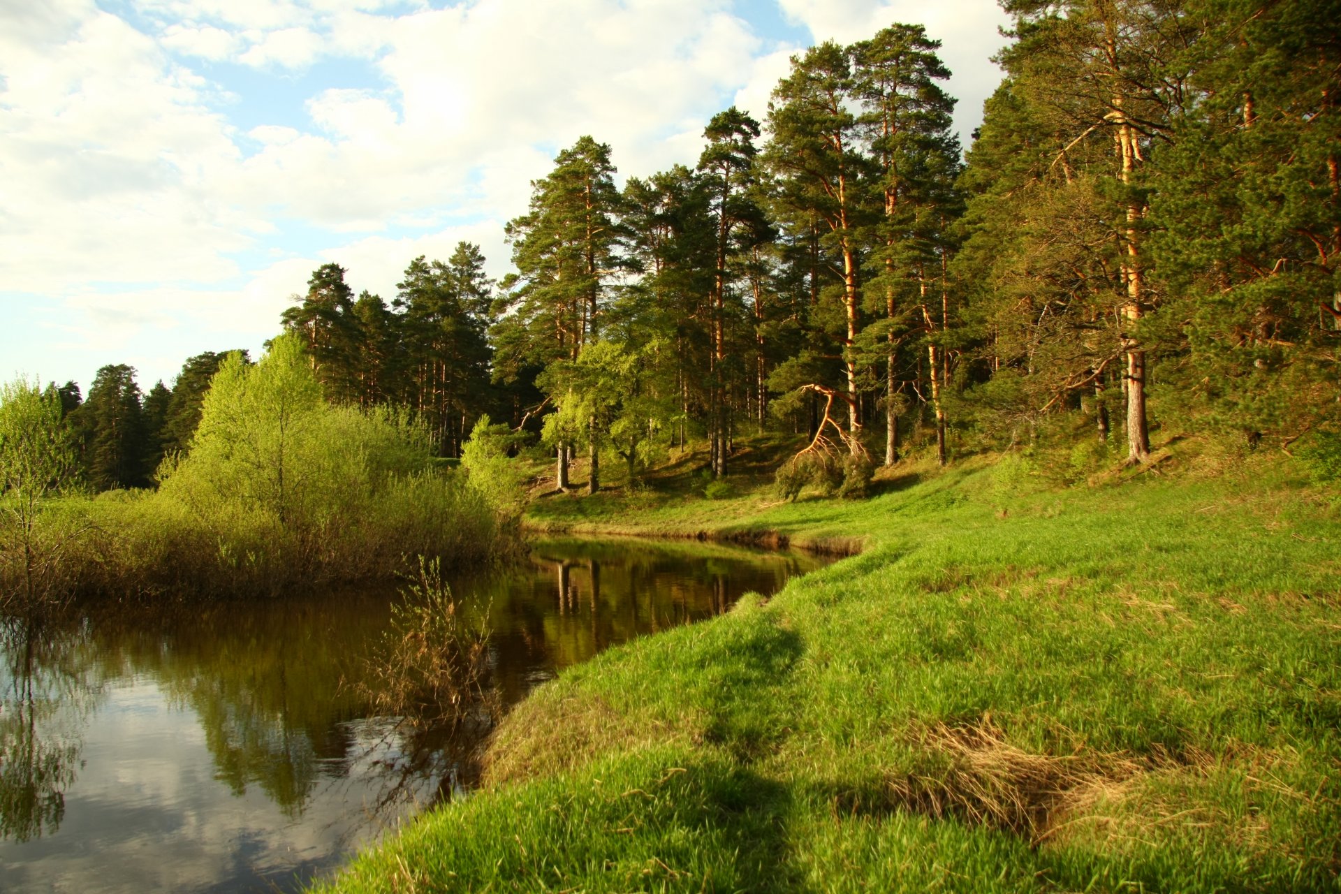 nature papier peint rivière kava forêt promenade repos paysage