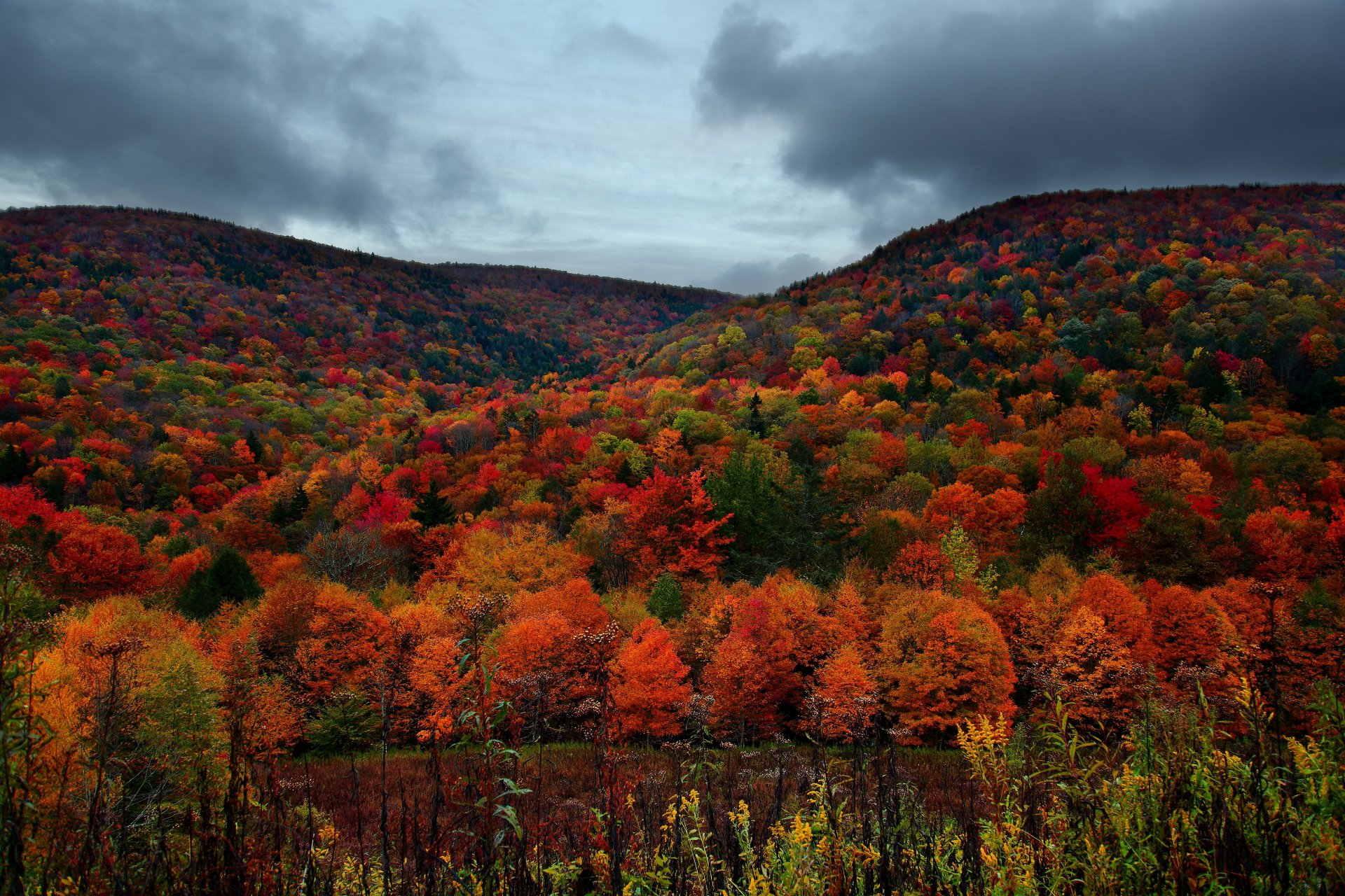 autumn mountain forest tree sky clouds rain