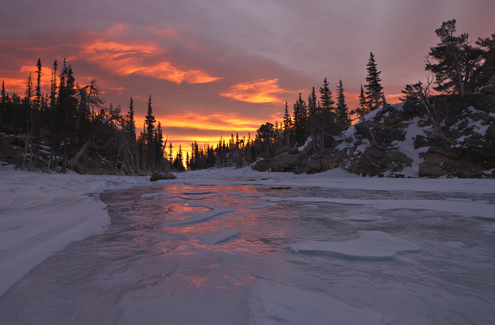 nature sunset river forest winter