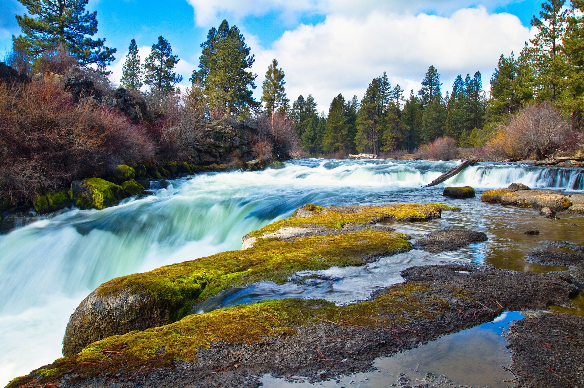 nature river feed stones moss forest sky cloud