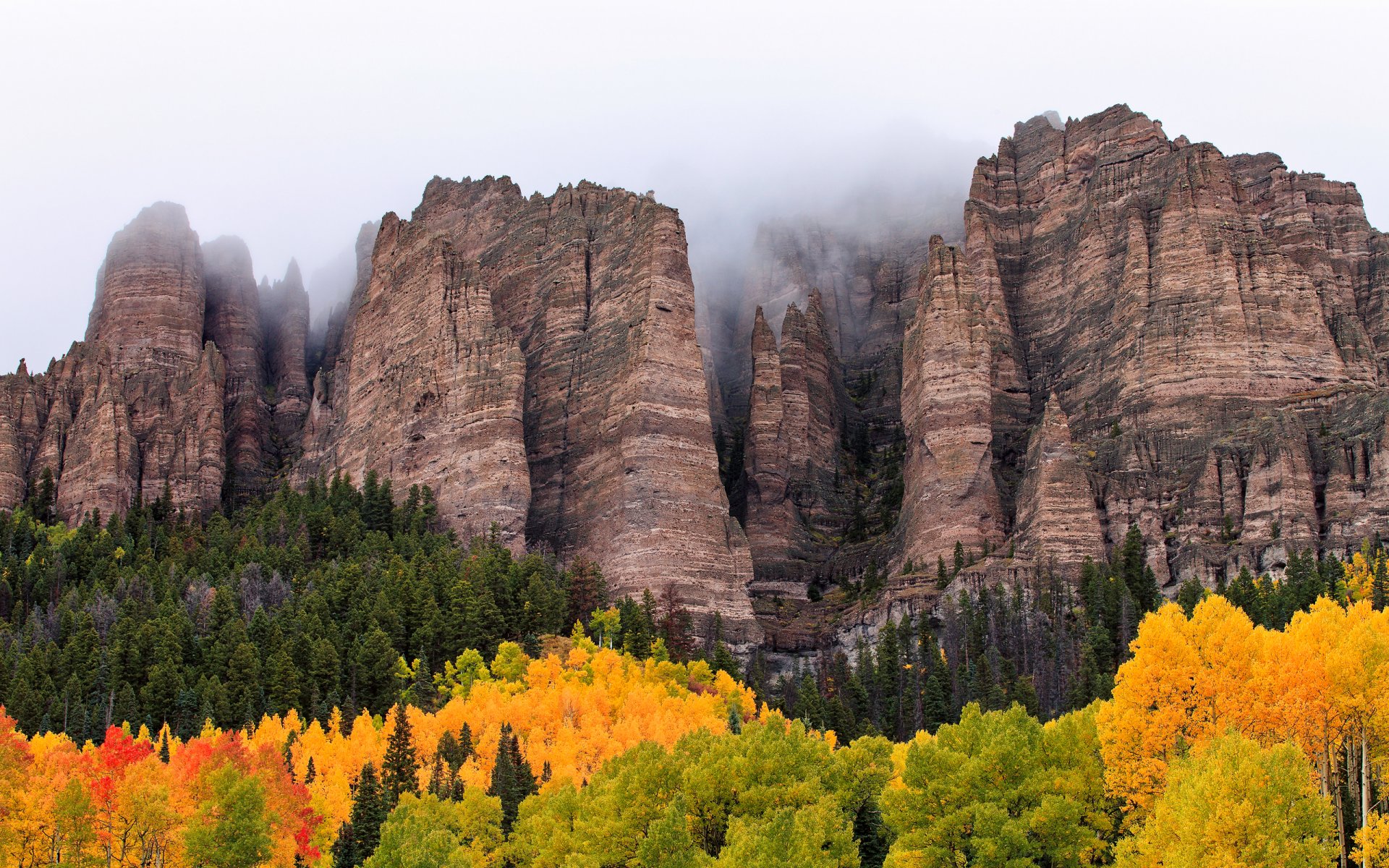 natura autunno foresta montagna cielo nuvole nebbia