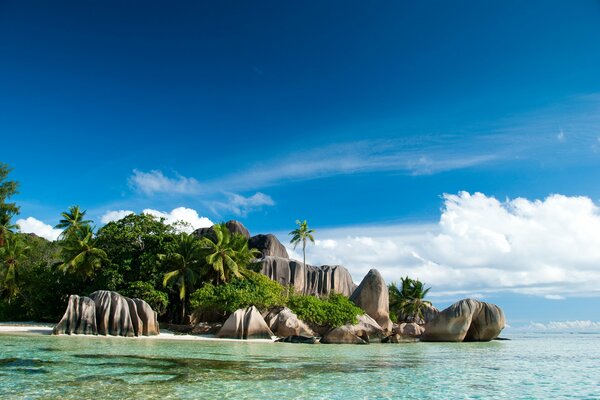 Die Landschaft der Seychellen unter klarem Himmel