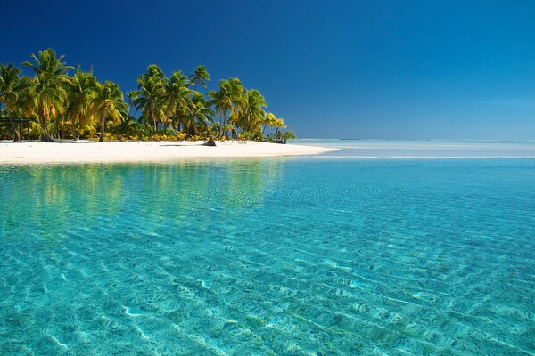 Playa frente al mar con palmeras y arena blanca