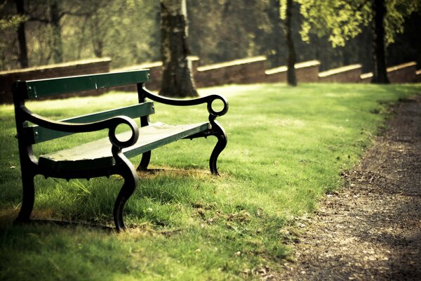 A bench in a sunny green park