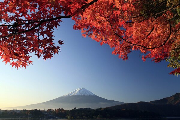 Paisaje de árbol de otoño con volcán