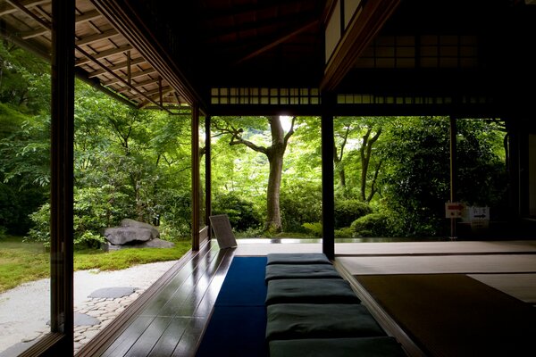 Zen im Waldtempel