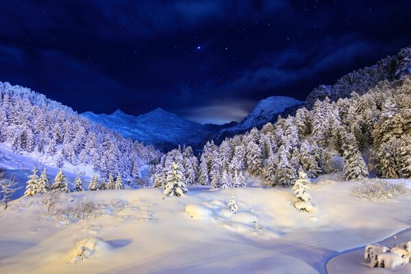 The beauty of the winter night forest and mountains