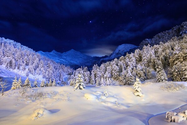 Красота зимнего ночного леса и гор