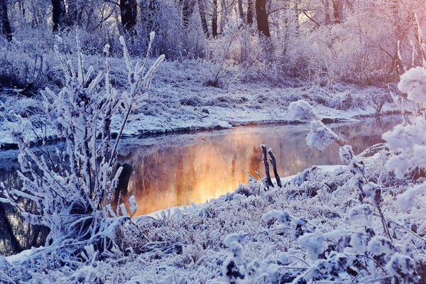 Winter lake wallpaper