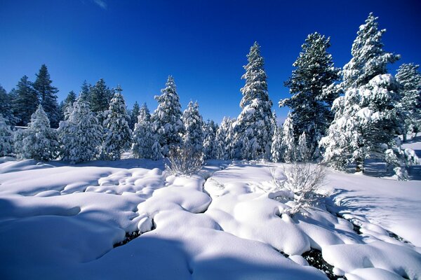 Feliz invierno. La nieve es como un malvavisco