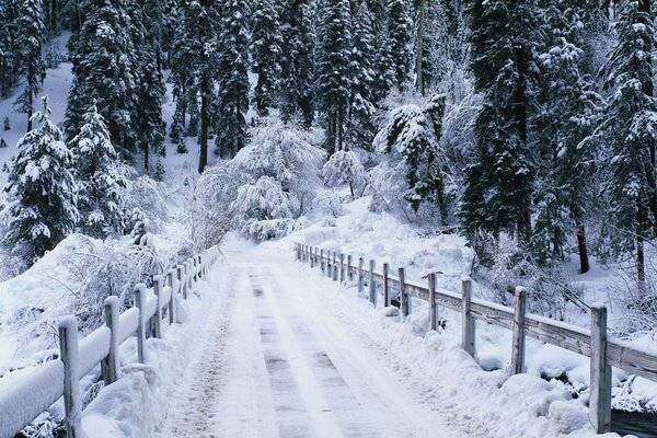 Brücke im winterlichen weißen Wald