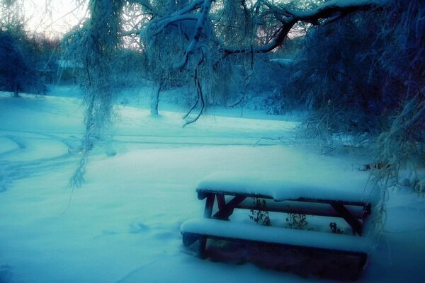 Zimowy dzień. stół i ławki w śniegu