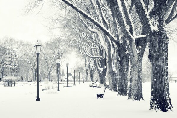 Laternen und eine Bank im Winterpark