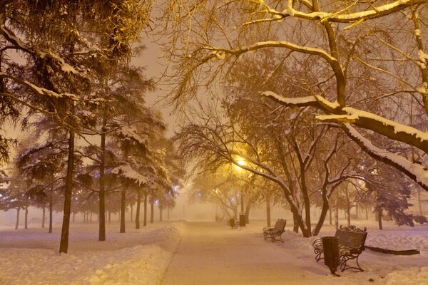 Nouvel an nuit Square et banc