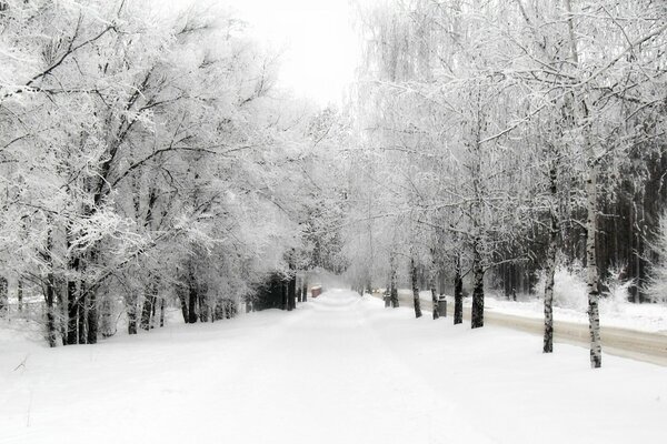 Winterpark neben der Straße