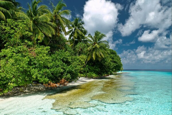 Maldives. Blue clear water