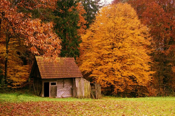 A small house in the autumn forest