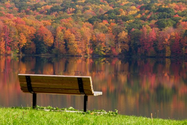 Vacances au bord du lac en automne