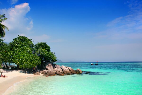 Beautiful uninhabited beach with palm trees