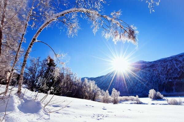 Inverno, mattina soleggiata in montagna