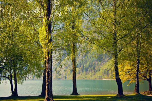 Lac de printemps au pied des montagnes en Suisse