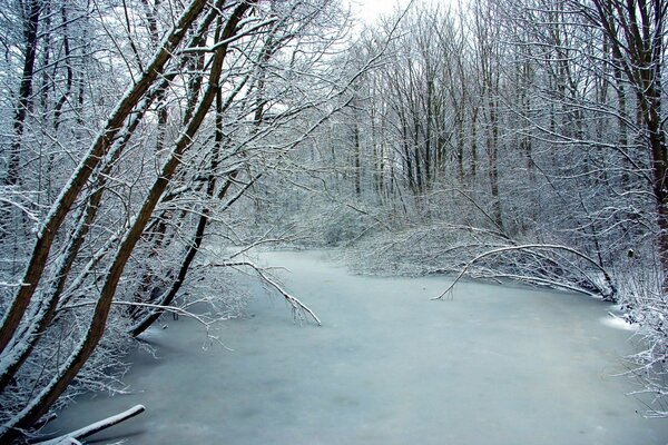 Río congelado en invierno frío