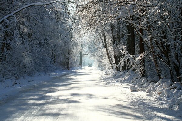Winter verschneite Straße in der Mitte des Waldes