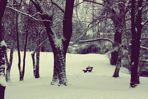 Cour d hiver avec un banc dans la neige