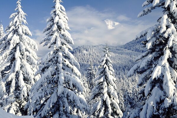 Winterlandschaft mit Hügeln in den Bergen