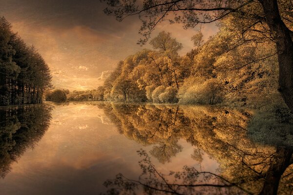 Peinture automne. Arbres près de la rivière