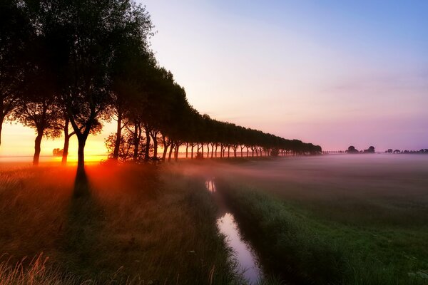 Morning dawn in a field with a stream