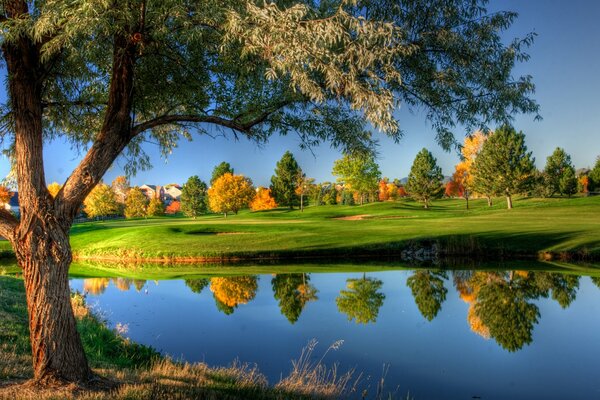 Herbstliche, helle Natur, die sich im glatten See widerspiegelt