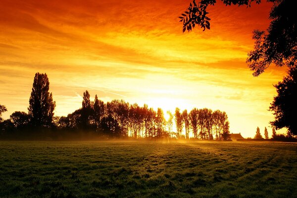 Feld und Wald bei Sonnenuntergang. Landschaft