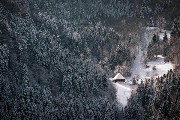 Ein Haus im Winterwald. Draufsicht