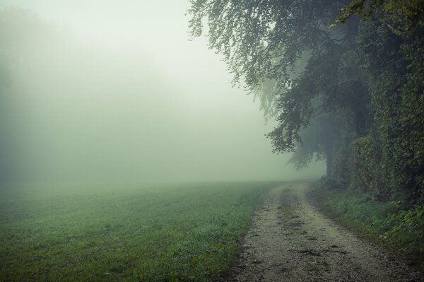 The road goes into a foggy field