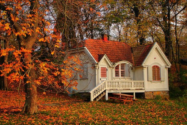 Weißes privates Haus auf einem Herbstgrundstück