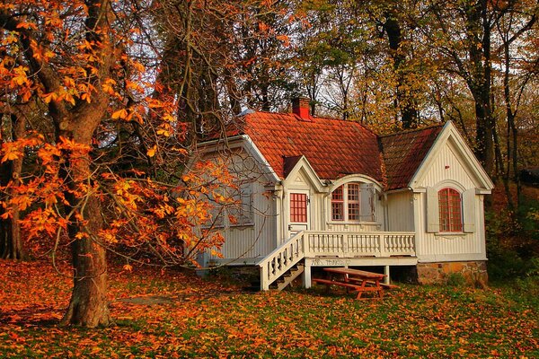 Casa blanca privada en la parcela de otoño