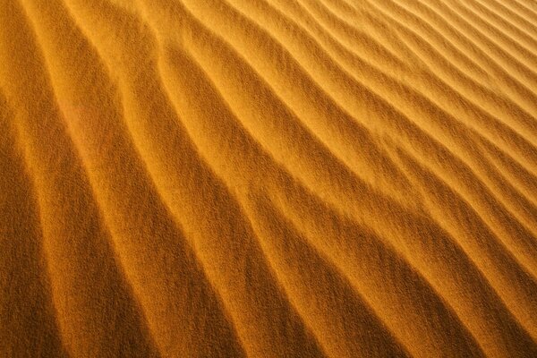 Sand in the desert zastvka on the phone