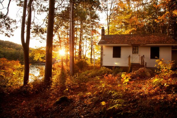 House on the river bank in autumn